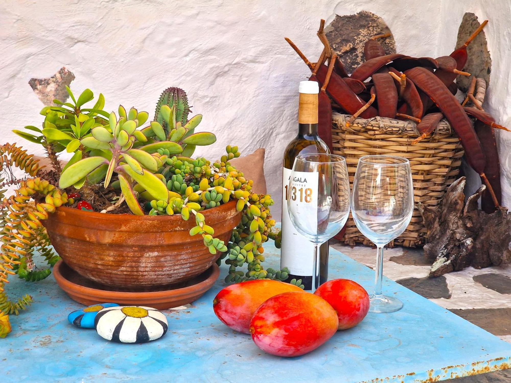 Historica Casa Con Vistas Al Jardin De Cactus Y Montanas Villa Mogán Dış mekan fotoğraf