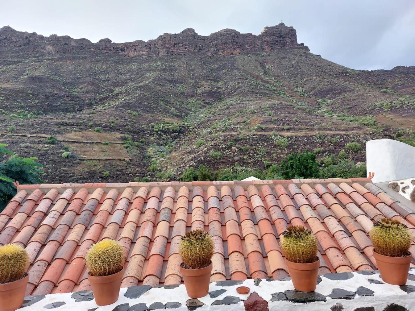 Historica Casa Con Vistas Al Jardin De Cactus Y Montanas Villa Mogán Dış mekan fotoğraf